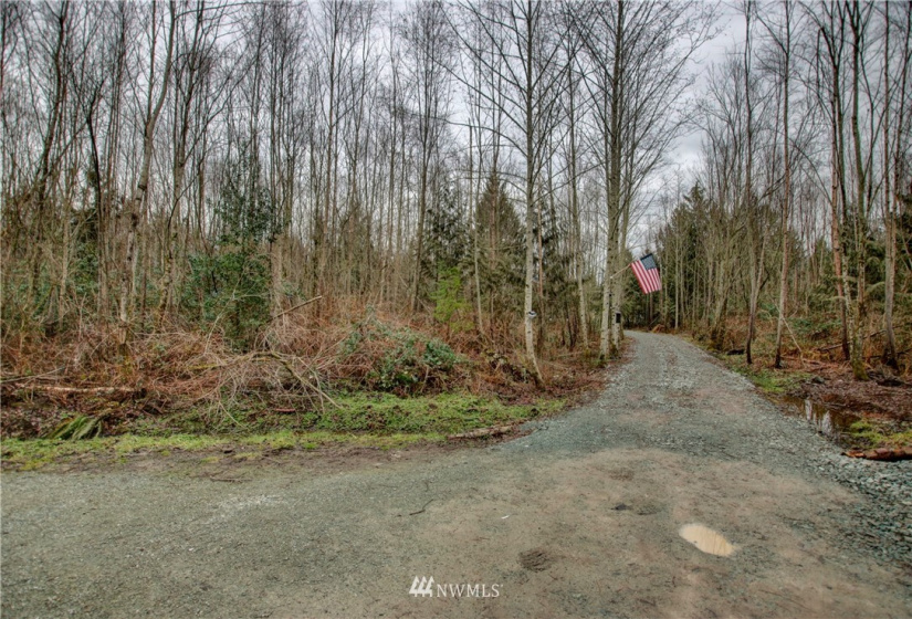 5950 Hoogdal Branch, Sedro Woolley, Washington 98284, ,Land,For Sale,95-022,Hoogdal Branch,NWM1884440