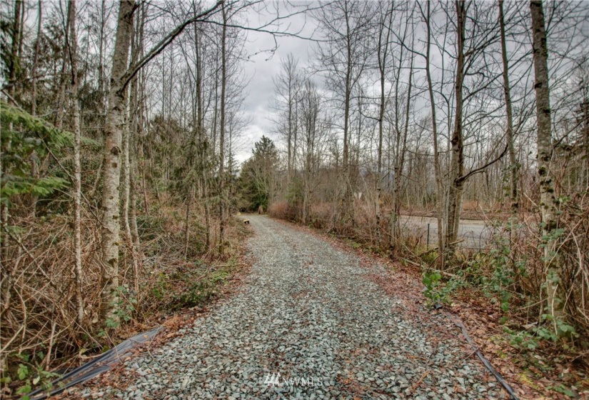 5950 Hoogdal Branch, Sedro Woolley, Washington 98284, ,Land,For Sale,95-022,Hoogdal Branch,NWM1884440