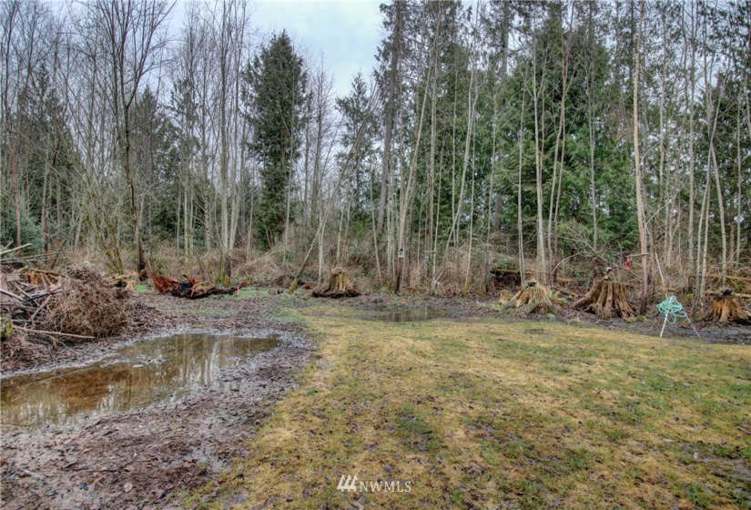 5950 Hoogdal Branch, Sedro Woolley, Washington 98284, ,Land,For Sale,95-022,Hoogdal Branch,NWM1884440