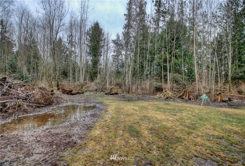 5950 Hoogdal Branch, Sedro Woolley, Washington 98284, ,Land,For Sale,95-022,Hoogdal Branch,NWM1884440