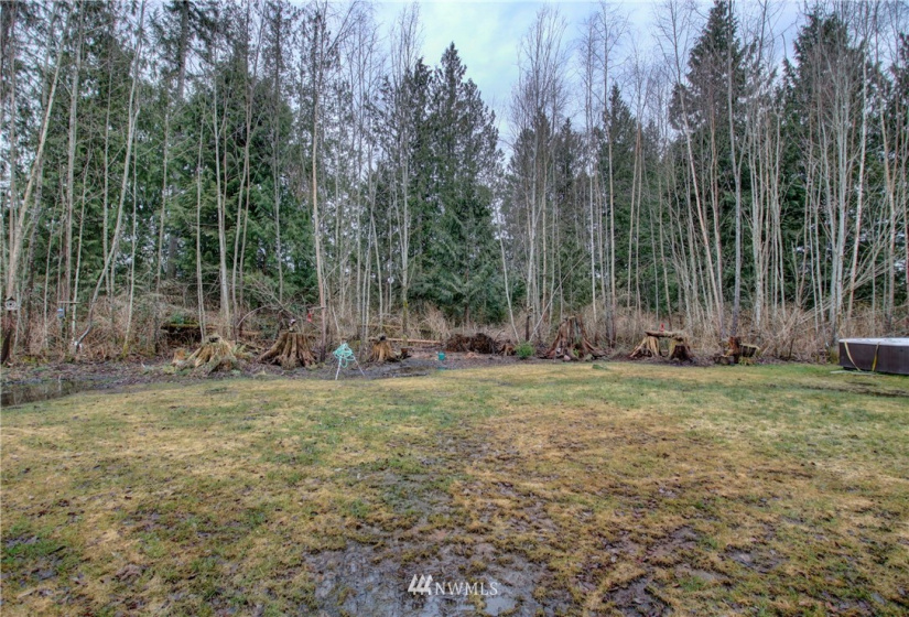 5950 Hoogdal Branch, Sedro Woolley, Washington 98284, ,Land,For Sale,95-022,Hoogdal Branch,NWM1884440