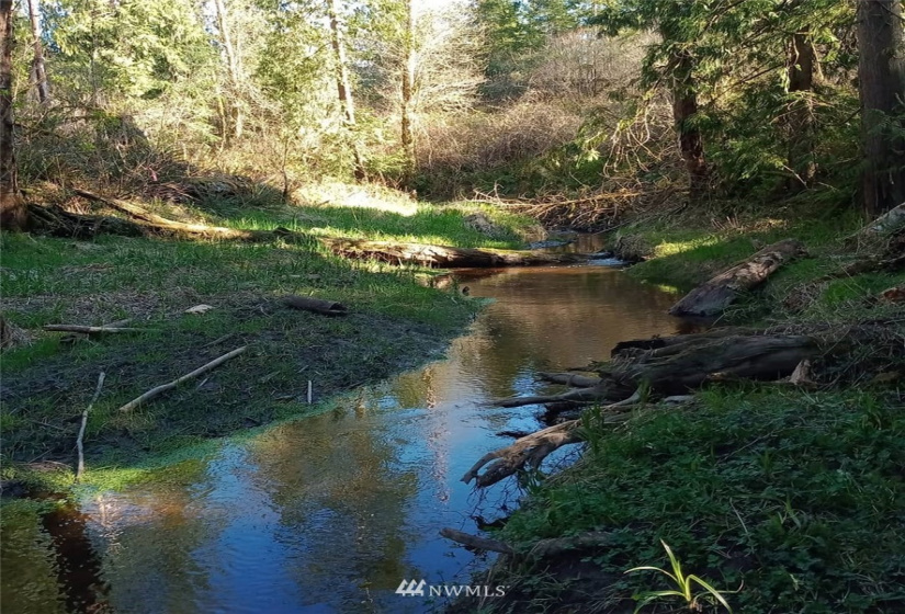 5950 Hoogdal Branch, Sedro Woolley, Washington 98284, ,Land,For Sale,95-022,Hoogdal Branch,NWM1884440