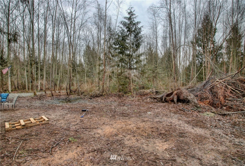 5950 Hoogdal Branch, Sedro Woolley, Washington 98284, ,Land,For Sale,95-022,Hoogdal Branch,NWM1884440