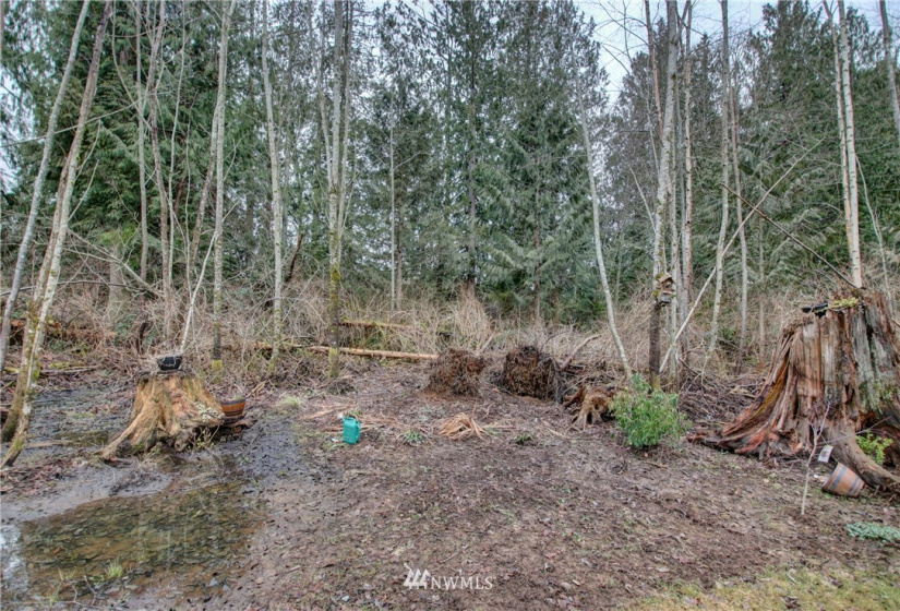 5950 Hoogdal Branch, Sedro Woolley, Washington 98284, ,Land,For Sale,95-022,Hoogdal Branch,NWM1884440