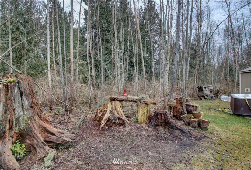 5950 Hoogdal Branch, Sedro Woolley, Washington 98284, ,Land,For Sale,95-022,Hoogdal Branch,NWM1884440