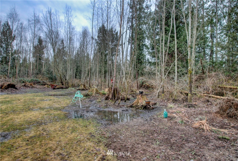 5950 Hoogdal Branch, Sedro Woolley, Washington 98284, ,Land,For Sale,95-022,Hoogdal Branch,NWM1884440