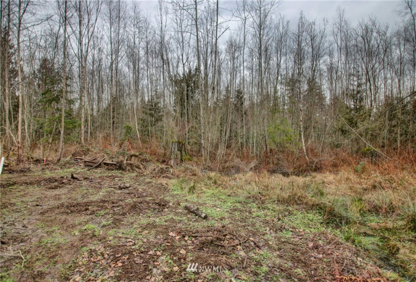 5950 Hoogdal Branch, Sedro Woolley, Washington 98284, ,Land,For Sale,95-022,Hoogdal Branch,NWM1884440