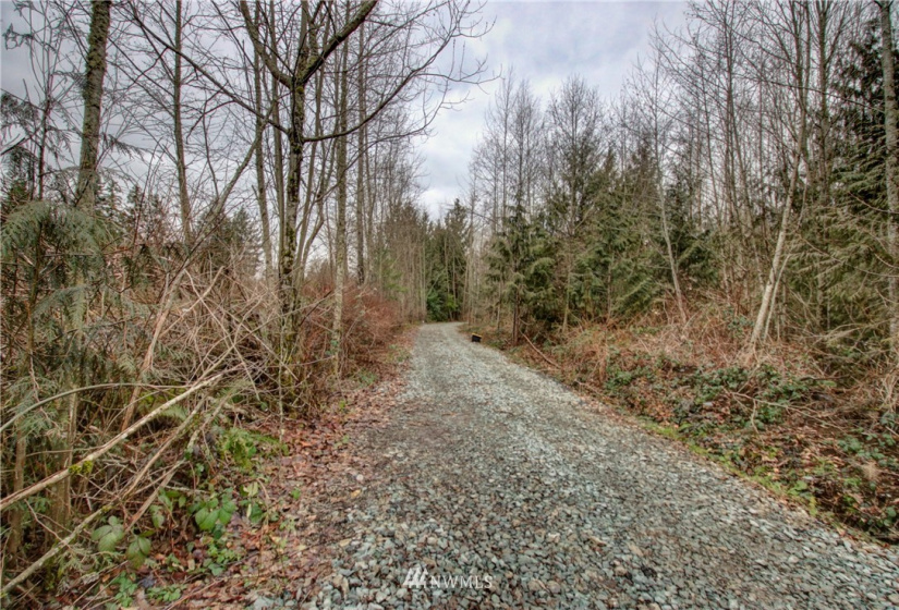 5950 Hoogdal Branch, Sedro Woolley, Washington 98284, ,Land,For Sale,95-022,Hoogdal Branch,NWM1884440