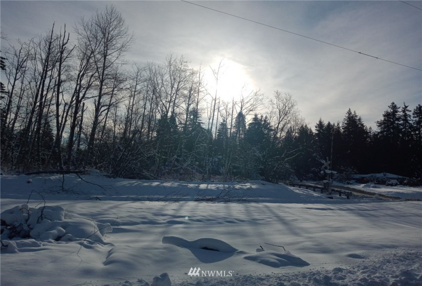 5950 Hoogdal Branch, Sedro Woolley, Washington 98284, ,Land,For Sale,95-022,Hoogdal Branch,NWM1884440