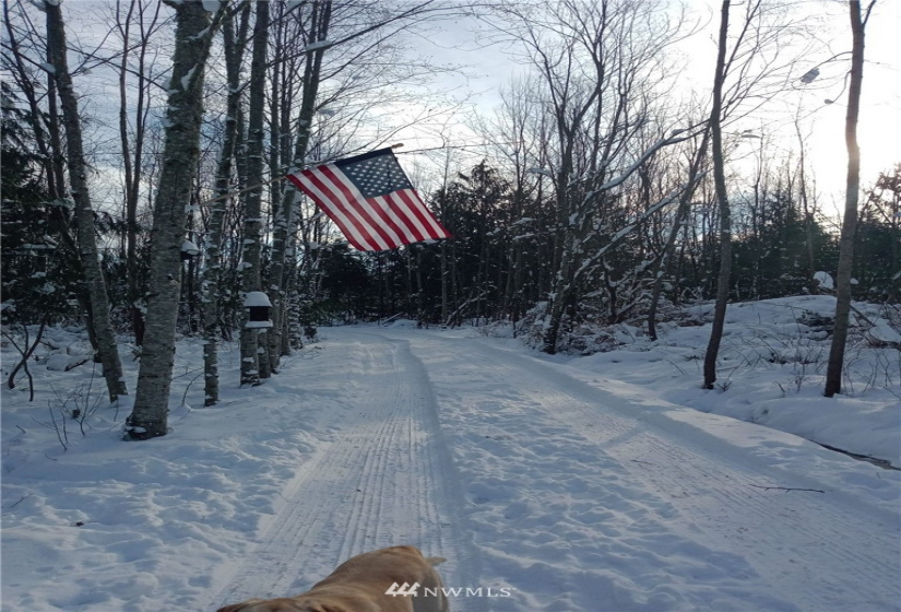 5950 Hoogdal Branch, Sedro Woolley, Washington 98284, ,Land,For Sale,95-022,Hoogdal Branch,NWM1884440
