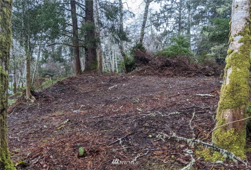 0 242nd Place, Ocean Park, Washington 98640, ,Land,For Sale,Rushlight Manor Estates,242nd Place,NWM1884250