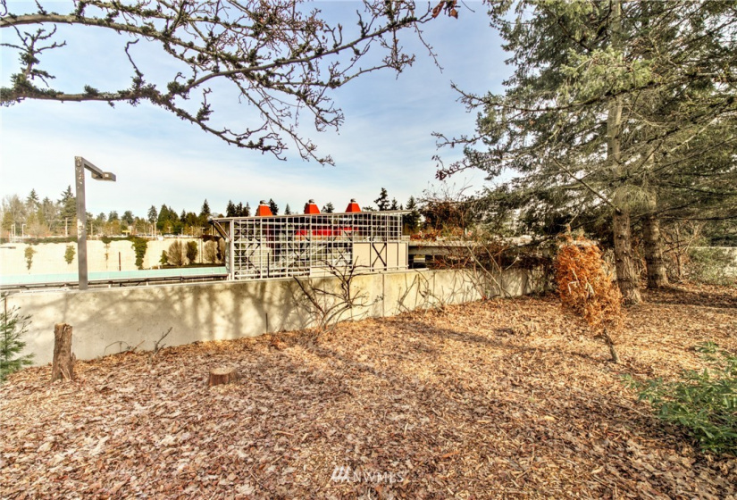 7800 27th, Mercer Island, Washington 98040, 3 Bedrooms Bedrooms, ,2 BathroomsBathrooms,Residential,For Sale,7800 Plaza,27th,NWM1884582