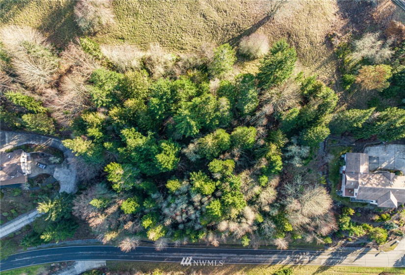 999 Lot 2 Owls Nest, Sequim, Washington 98382, ,Land,For Sale,Highland Hills,Owls Nest,NWM1884499