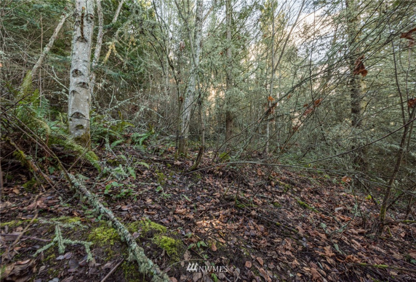 999 Lot 2 Owls Nest, Sequim, Washington 98382, ,Land,For Sale,Highland Hills,Owls Nest,NWM1884499