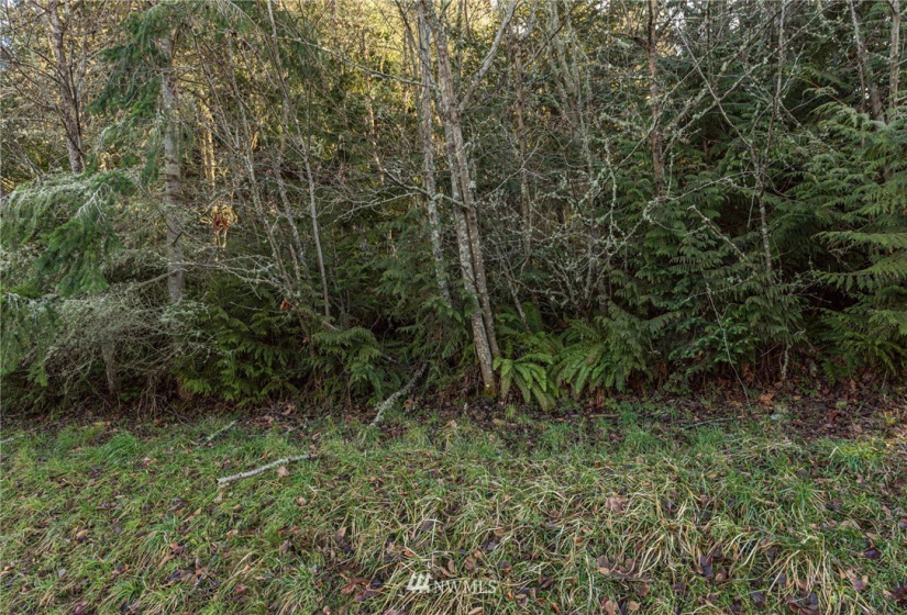 999 Lot 2 Owls Nest, Sequim, Washington 98382, ,Land,For Sale,Highland Hills,Owls Nest,NWM1884499