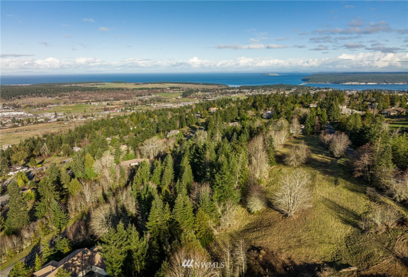 999 Lot 2 Owls Nest, Sequim, Washington 98382, ,Land,For Sale,Highland Hills,Owls Nest,NWM1884499