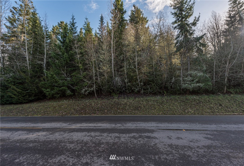 999 Lot 3 Owls Nest, Sequim, Washington 98382, ,Land,For Sale,Owls Nest,NWM1884516