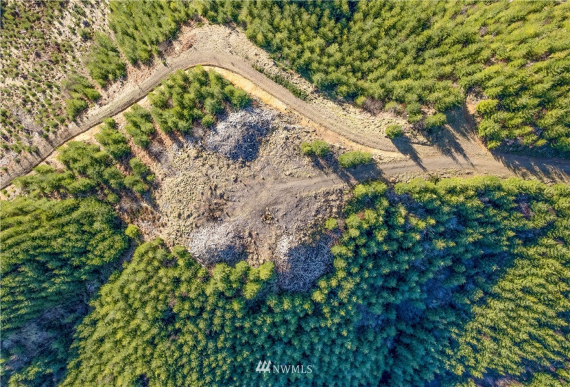 0 Salmon Creek, Naselle, Washington 98638, ,Land,For Sale,Salmon Creek,NWM1882956