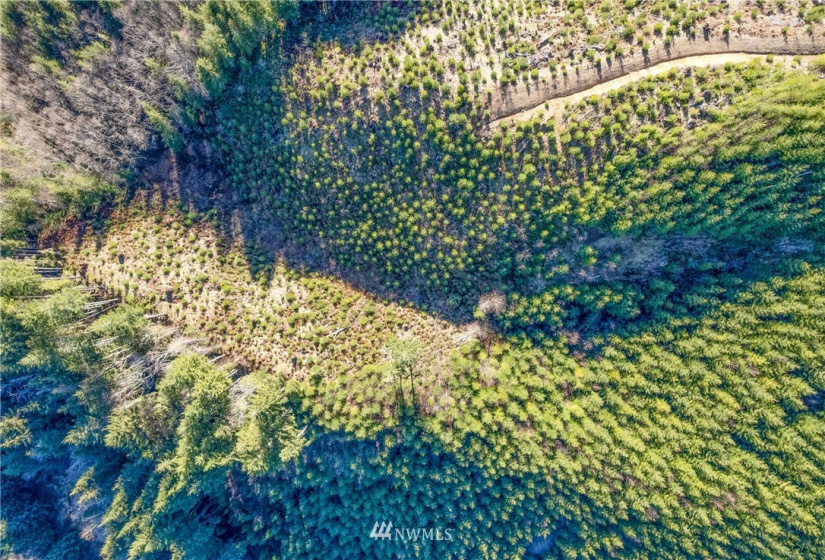 0 Salmon Creek, Naselle, Washington 98638, ,Land,For Sale,Salmon Creek,NWM1882956