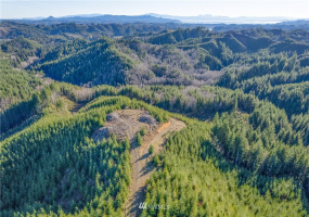 0 Salmon Creek, Naselle, Washington 98638, ,Land,For Sale,Salmon Creek,NWM1882956