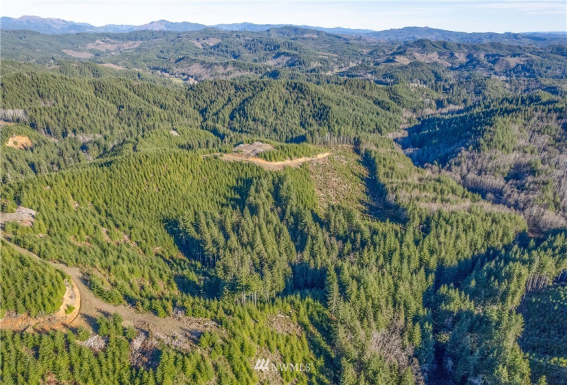 0 Salmon Creek, Naselle, Washington 98638, ,Land,For Sale,Salmon Creek,NWM1882956