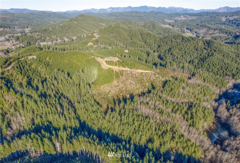 0 Salmon Creek, Naselle, Washington 98638, ,Land,For Sale,Salmon Creek,NWM1882956