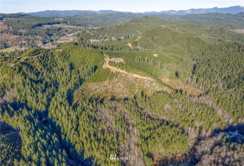 0 Salmon Creek, Naselle, Washington 98638, ,Land,For Sale,Salmon Creek,NWM1882956