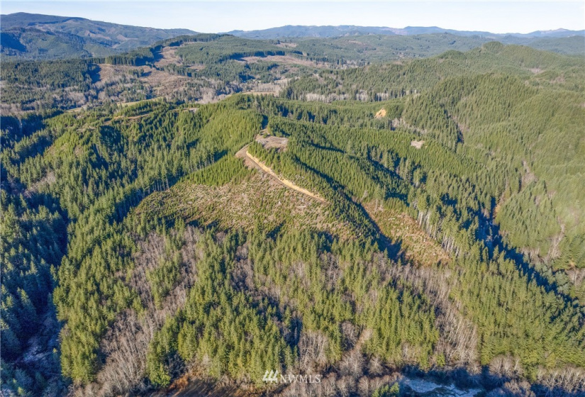 0 Salmon Creek, Naselle, Washington 98638, ,Land,For Sale,Salmon Creek,NWM1882956