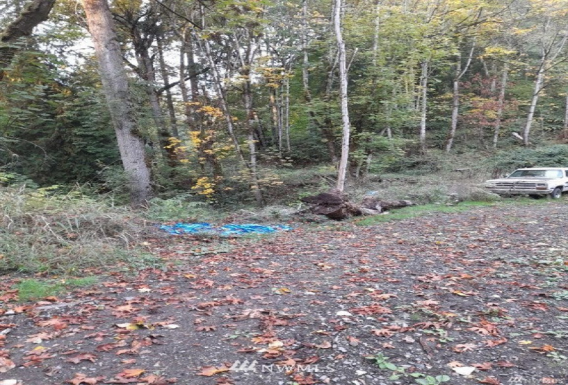 0 82nd, Graham, Washington 98338, ,Land,For Sale,82nd,NWM1884902