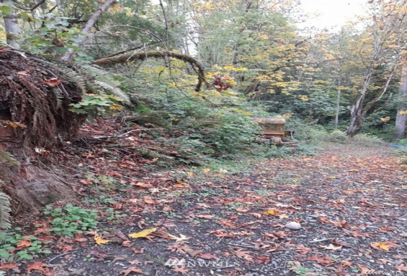 0 82nd, Graham, Washington 98338, ,Land,For Sale,82nd,NWM1884902