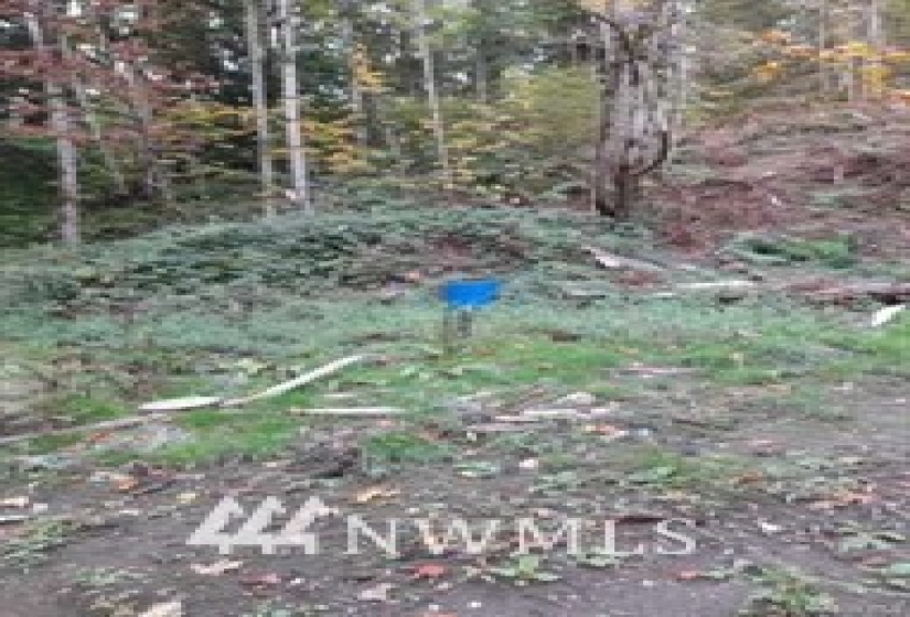 0 82nd, Graham, Washington 98338, ,Land,For Sale,82nd,NWM1884902