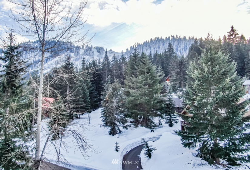 60 Chamonix, Snoqualmie Pass, Washington 98068, ,Land,For Sale,Chamonix,NWM1883411