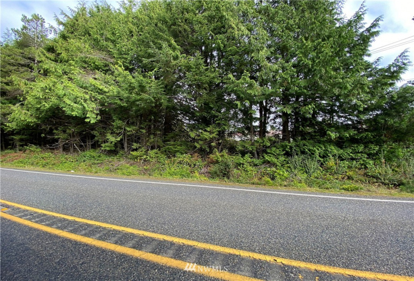 2 Lot LSHY State Route 109, Pacific Beach, Washington 98571, ,Land,For Sale,HIGHLAND HEIGHTS,State Route 109,NWM1684150