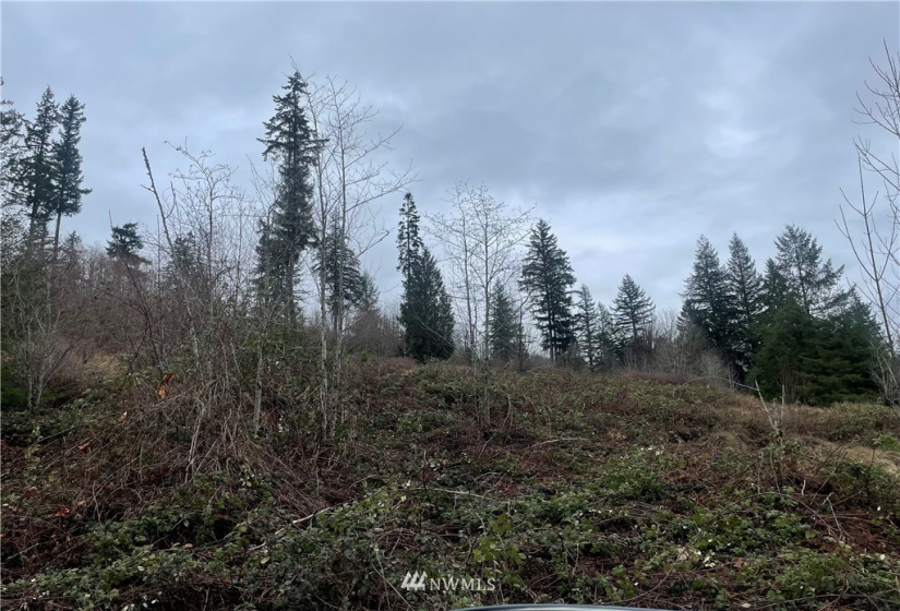 38 Dunbar Rd, Kelso, Washington 98626, ,Land,For Sale,Dunbar Rd,NWM1884815