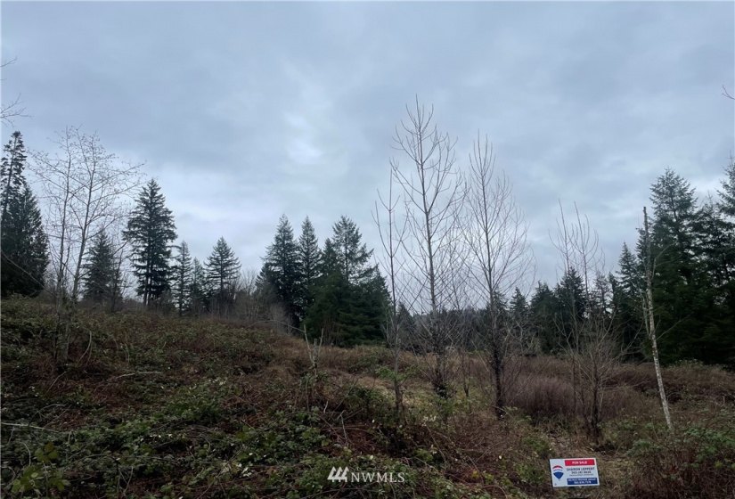 38 Dunbar Rd, Kelso, Washington 98626, ,Land,For Sale,Dunbar Rd,NWM1884815