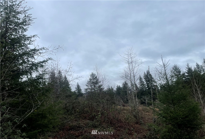 38 Dunbar Rd, Kelso, Washington 98626, ,Land,For Sale,Dunbar Rd,NWM1884815
