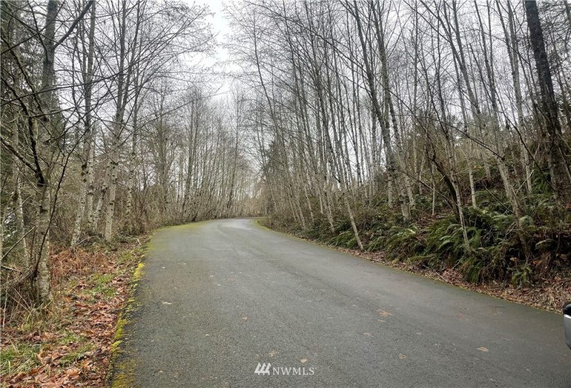 38 Dunbar Rd, Kelso, Washington 98626, ,Land,For Sale,Dunbar Rd,NWM1884815