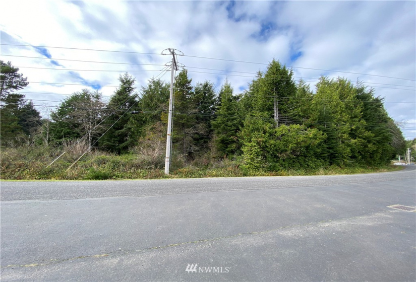 3 LotLS HY State Route 109, Pacific Beach, Washington 98571, ,Land,For Sale,HIGHLAND HEIGHTS,State Route 109,NWM1690259