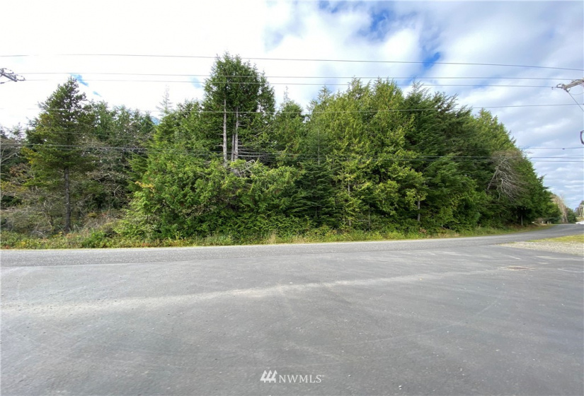 3 LotLS HY State Route 109, Pacific Beach, Washington 98571, ,Land,For Sale,HIGHLAND HEIGHTS,State Route 109,NWM1690259