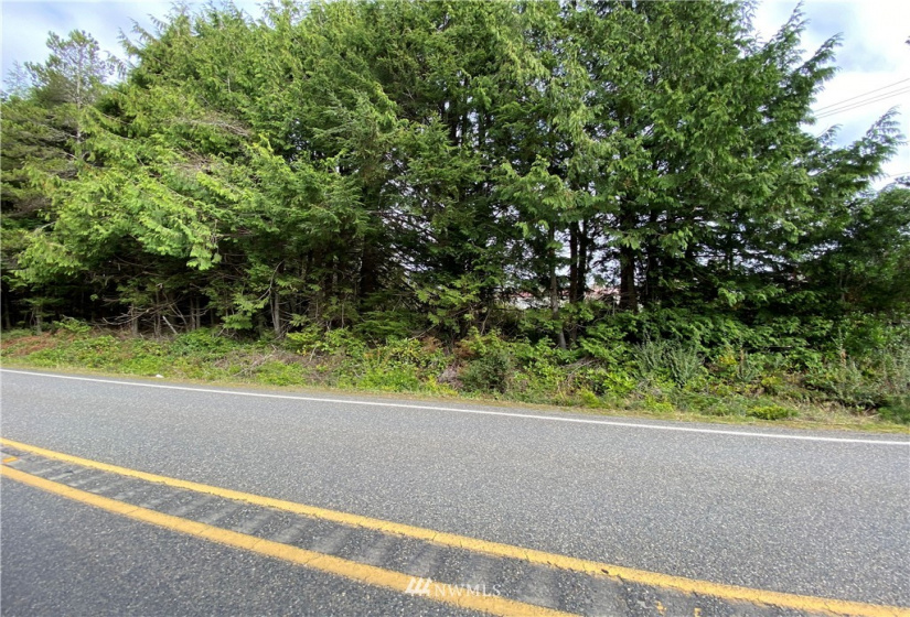 3 LotLS HY State Route 109, Pacific Beach, Washington 98571, ,Land,For Sale,HIGHLAND HEIGHTS,State Route 109,NWM1690259