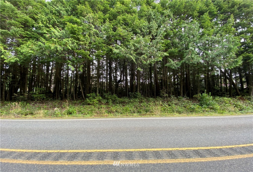 3 LotLS HY State Route 109, Pacific Beach, Washington 98571, ,Land,For Sale,HIGHLAND HEIGHTS,State Route 109,NWM1690259