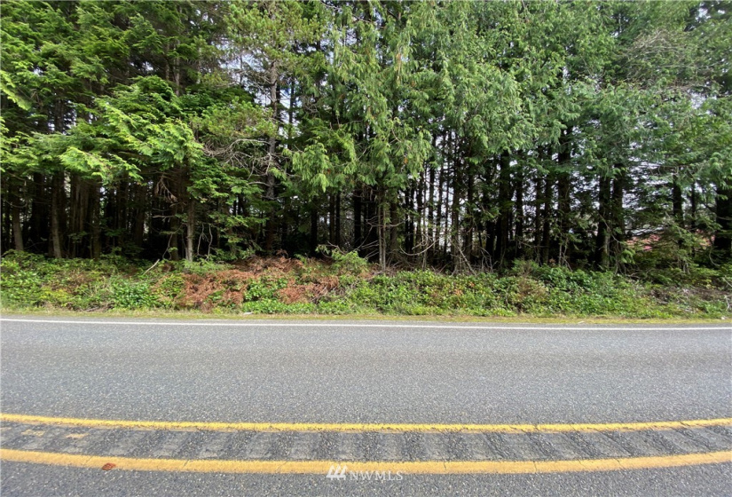 3 LotLS HY State Route 109, Pacific Beach, Washington 98571, ,Land,For Sale,HIGHLAND HEIGHTS,State Route 109,NWM1690259
