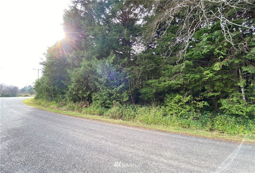 3 LotLS HY State Route 109, Pacific Beach, Washington 98571, ,Land,For Sale,HIGHLAND HEIGHTS,State Route 109,NWM1690259