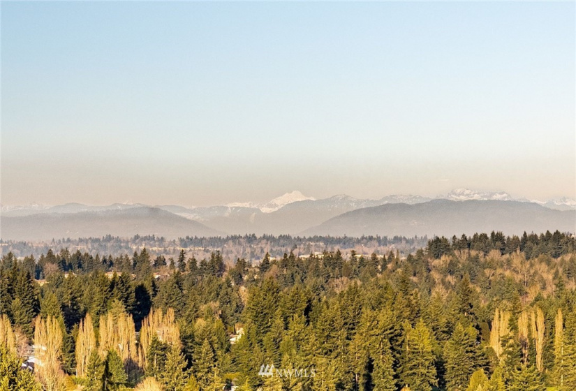 3613 55th, Tacoma, Washington 98422, 4 Bedrooms Bedrooms, ,3 BathroomsBathrooms,Residential,For Sale,The Summit At Dash Point,55th,NWM1884467