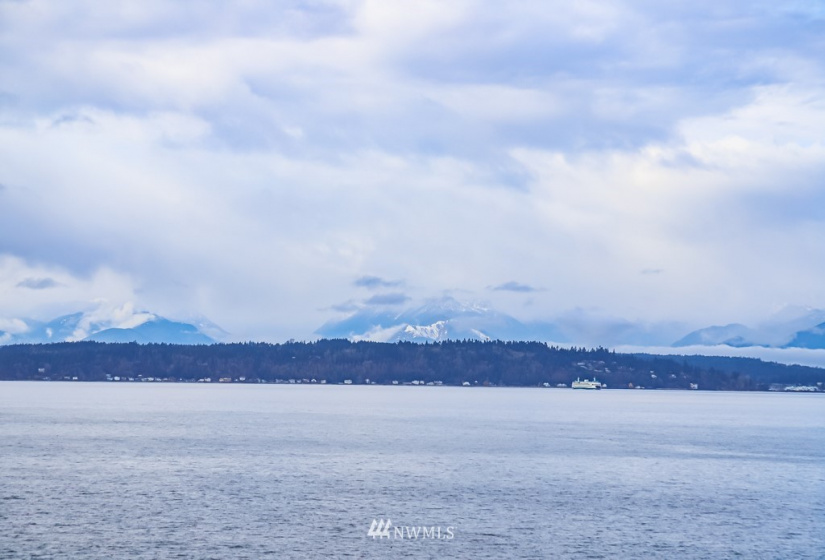 1706 Alki, Seattle, Washington 98116, 2 Bedrooms Bedrooms, ,Residential,For Sale,Alki,NWM1884805