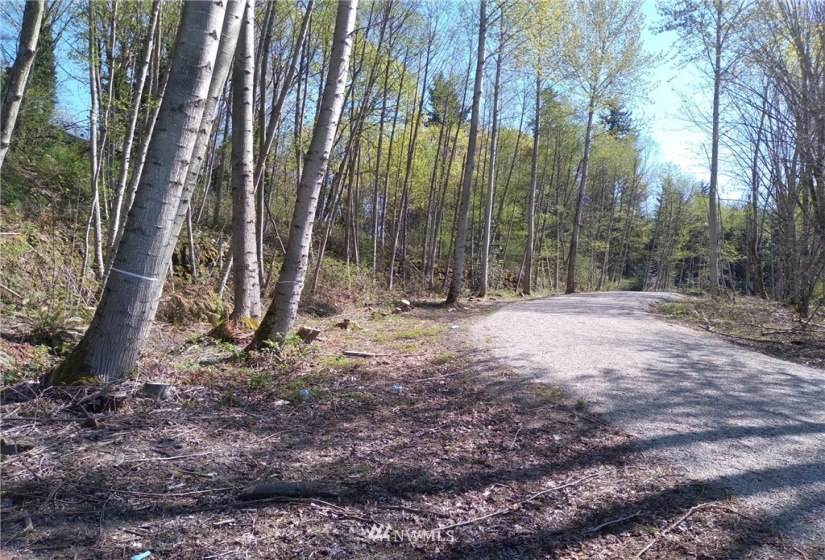 10043 Carr, Renton, Washington 98055, ,Land,For Sale,Carr,NWM1885101