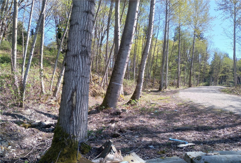 10043 Carr, Renton, Washington 98055, ,Land,For Sale,Carr,NWM1885101