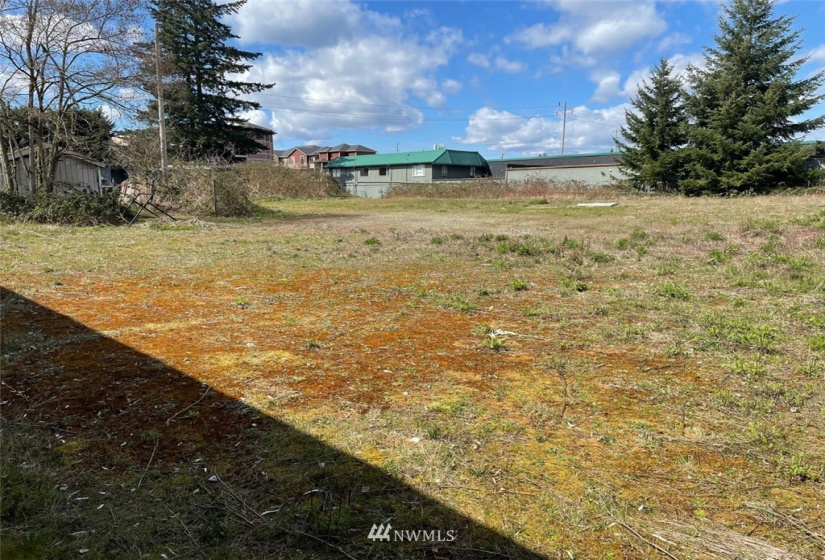 254 Union, Renton, Washington 98059, ,Land,For Sale,Union,NWM1885176