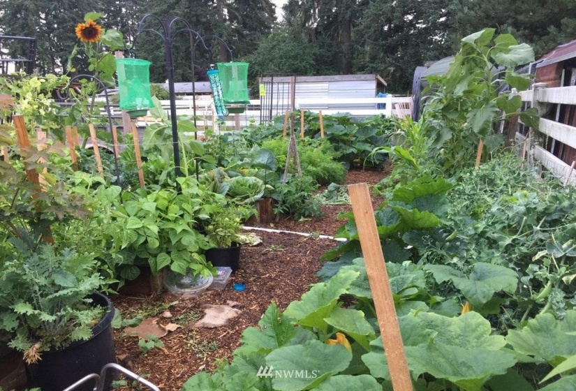 9341 58th, Olympia, Washington 98513, 4 Bedrooms Bedrooms, ,2 BathroomsBathrooms,Residential,For Sale,58th,NWM1883950