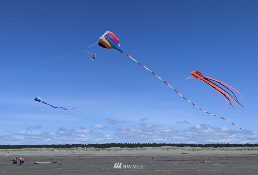 438 Dolphin, Ocean Shores, Washington 98569, 2 Bedrooms Bedrooms, ,1 BathroomBathrooms,Residential,For Sale,DIV 03,Dolphin,NWM1882586